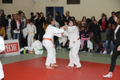 5cac672a0abb1_IMG5182