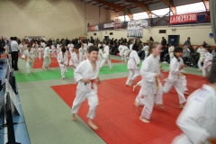 5cac7bad084a0_IMG5232