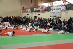 5cac7cfa276e5_IMG5236