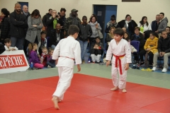 5cac8499d6655_IMG5254