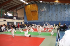 5cac977862784_IMG5299