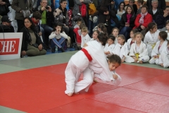 5cacaa5113358_IMG5346