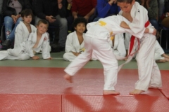 5cacac55edc03_IMG5351