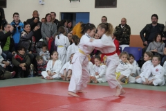 5cacb1035a2ed_IMG5363