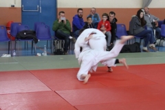 5cacd7916af7e_IMG5453