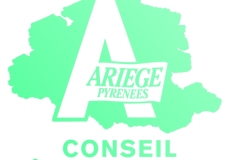 55e31e9396b10_Logobasdepageconseildpartemental