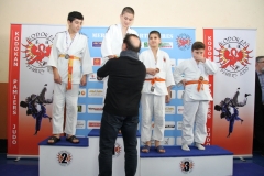 5a8a93cb01b49_IMG2230