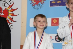 5a8beeb1305fe_IMG2506
