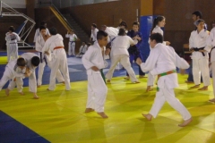 533ee926ed7c4_P1040516