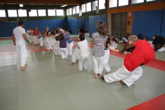 528233f9ade35_stagetoussaint20135903