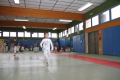 5282343eaa0db_stagetoussaint20135847
