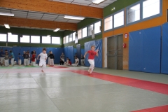 5282344948c68_stagetoussaint20135838