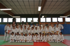 52823464375e7_IMG5789petit
