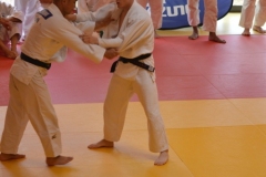 64fb08cc9751d_DSC0037