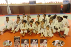 54631b1eb6366_judosite